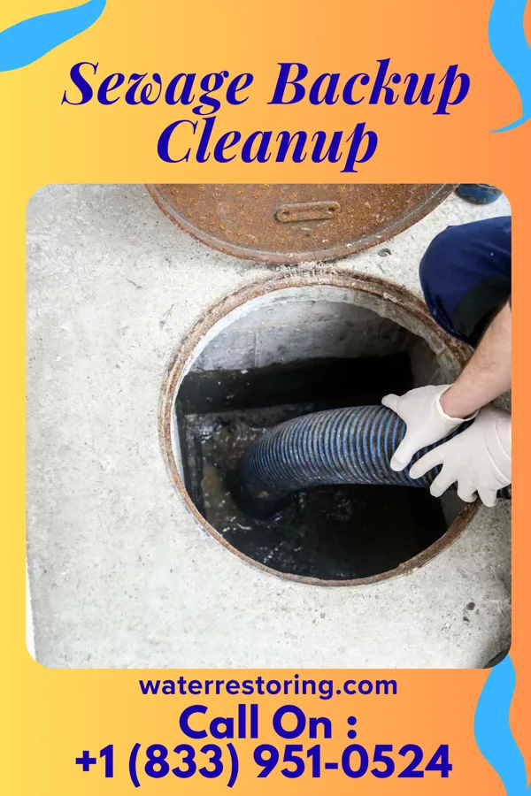 Sewage Backup Cleanup in Bentleyville, OH